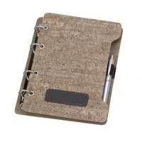 Agenda