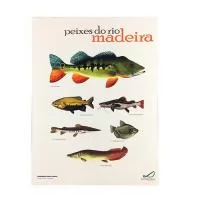 Bloco Anotações