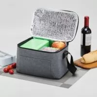 Descrição: Bolsa térmica 6 litros de poliéster. Contém bolso frontal com zíper e alça transversal regulável em nylon (não removível).  Altura :  15 cm  Largura :  26 cm  Profundidade :  17 cm