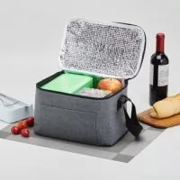 Bolsa térmica 6 litros de poliéster. Contém bolso frontal com zíper e alça transversal regulável em nylon (não removível).  Altura :  15 cm  Largura :  26 cm  Profundidade :  17 cm