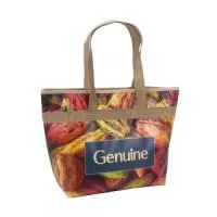 Bolsa Têrmica  310mm x 310mm x 140 mm BG - 5x5 cor es 