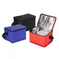 Bolsa térmica confeccionada em TNT impermeável com capacidade máxima de 4 litros. Possui revestimento térmico em folha de alumínio, fechamento em zíper e alça fixa em nylon.