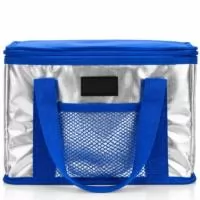 Bolsa térmica metalizada personalizada, ideal para brindes corporativos, eventos, campanhas promocionais, viagens, ações de marketing e kits empresariais.  Possui capacidade aproximada de 11 litros, estrutura leve e funcional, revestimento térmico interno, fechamento em zíper, alças para transporte e bolso frontal em tela.  O acabamento metalizado proporciona um visual moderno e diferenciado, enquanto a tag frontal ampliada permite maior destaque para a personalização da marca.  Disponível em diferentes combinações de cores, como azul, preto, verde e laranja.  Medidas aproximadas: 28 cm de largura × 17 cm de altura × 12 cm de profundidade.  Uma opção moderna, prática e de forte apelo visual para campanhas promocionais e ações corporativas.  Personalize com a sua marca.