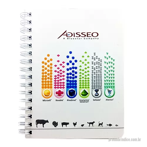 Caderno personalizado - Fabricação própria, cadernos personalizados do seu jeito.Tamanhos 15x21,18x25 e 21x28 cm. Capa impressa em 4 cores, miolo com 96 folhas personalizadas  em uma cor (frente e verso iguais) e dados pessoais e calendário, podem acompanhar lâminas de publicidade. Fechamento em wire-o silver, preto ou branco (consultar outras cores).