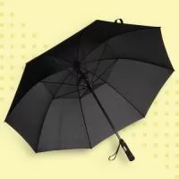 Guarda chuva