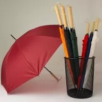 Guarda chuva
