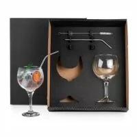 Kit para gin tônica contendo duas taças pra gin em vidro e dois canudos com limpador em Inox.