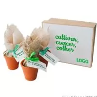 Kit planta