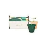 Kit sustentável com dois vasinhos de fibras naturais, cercados por uma delicada cerquinha de MDF, acompanhado de sementes de flores, temperos ou hortaliças para cultivo. Embalagem em papel reciclado, medindo 12,5 x 8 cm, que une charme e consciência ambiental. Ideal como brinde, lembrança ou presente ecológico, proporcionando uma experiência prática, educativa e interativa, incentivando o cuidado com a natureza. Contém 2 vasos de fibra natural Semente de temperos ou hortaliças de sua escolha 2 pazinha Cerquinha em MDF Tag personalizada embalado todo o produto