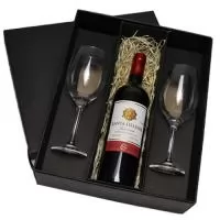 Kit vinho