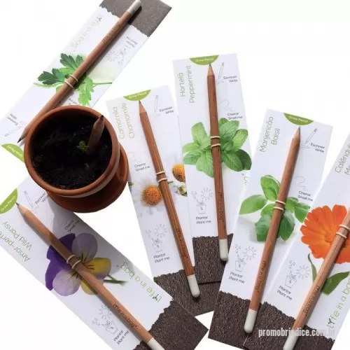 Lápis Semente Ecológico personalizados - Lápis Ecológico de Semente 100% Reciclável e cápsula biodegradável com sementes