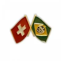 Pin