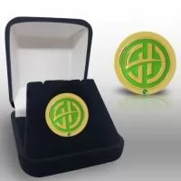 Pin