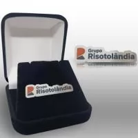 Pin