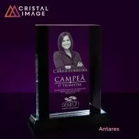 Placas de Cristal diversos tamanhos e formatos com gravação personalizada a laser no interior da peça
