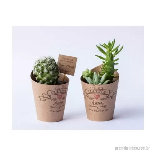 Planta personalizada - Miini Suculentas para Casamento | Professores | Empresas. Incluso Cachepot personalizado (copinhos de papel). O cliente pode mudar a cor do papel e arte.