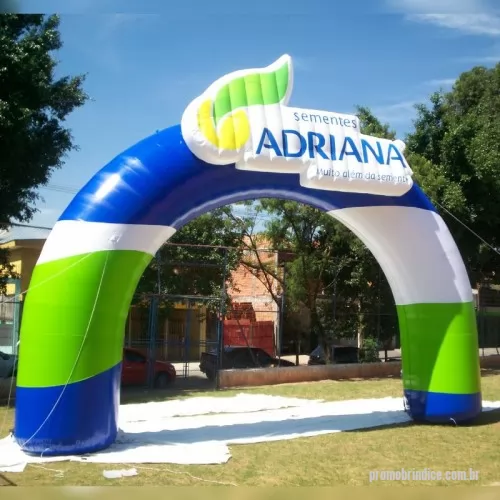 Pórtico inflável personalizado - Portal  Inflável   Utilização  em feiras, exposições e eventos, de fácil transporte e grande visibilidade.  Itens Inclusos: Cordas para amarração, motor elétrico embutido, sacola para transporte.  Material: Nylon 100% poliamida  emborrachado  – Rhodia. Com tratamento ultravioleta e antifungo