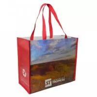 Sacola de Ráfia Laminada 120 Grs - Impressão DIGITAL UV - Qualidade Fotográfica
