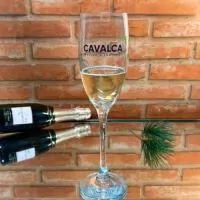 Taça de champanhe