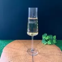 Taça de champanhe